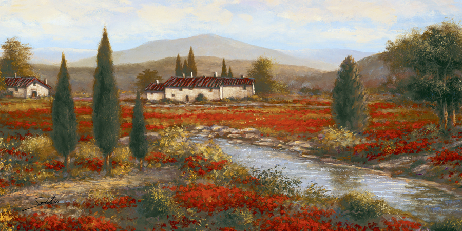 The Tuscan Red Poppies By Artist Sambataro