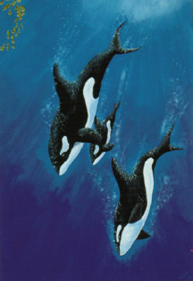 The Diving Deep By Artist Richard Enfantino