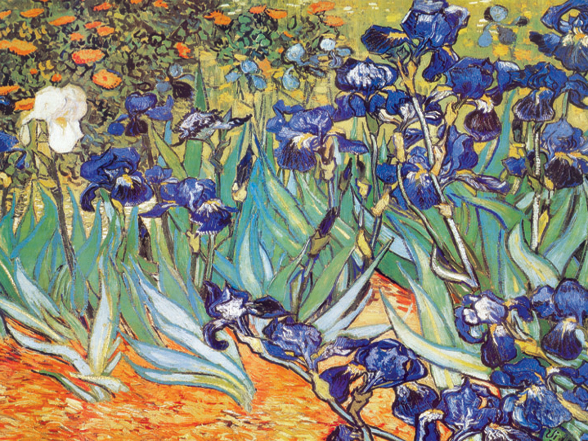 Irises By Van Gogh - Tile Mural Creative Arts