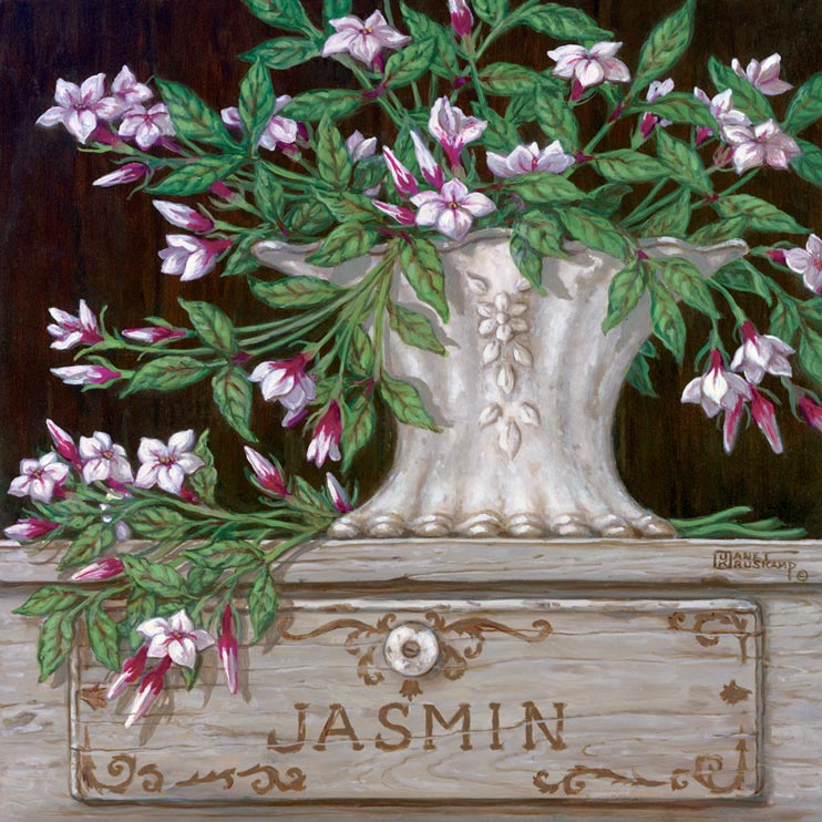Paquet De Jasmin By Artist Janet Krustkamp
