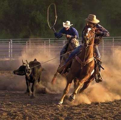 Roping On The Ranch III By Dawson - Tile Mural Creative Arts
