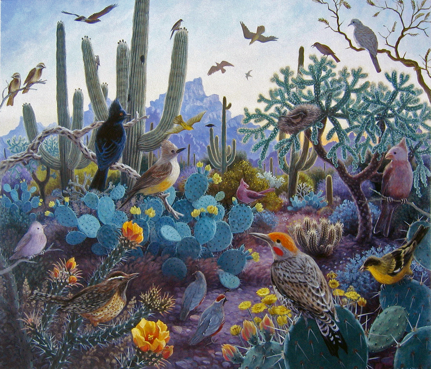 The Arizona Morning Song By Stephen Morath